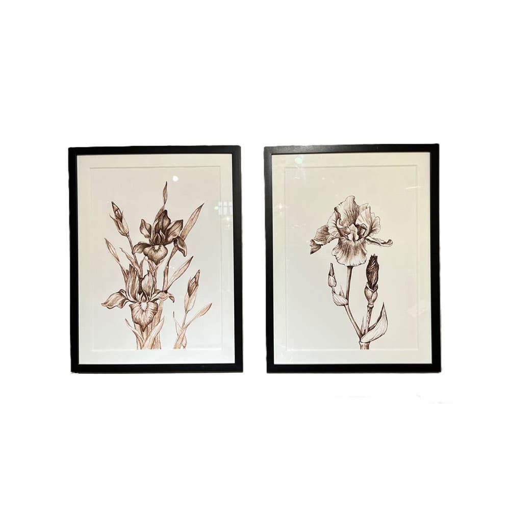 ست2 تابلو چاپ و پاسپارتو گل ترانسپرنت مشکی